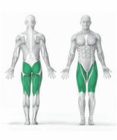 Pressão de Pernas-musculatura 3