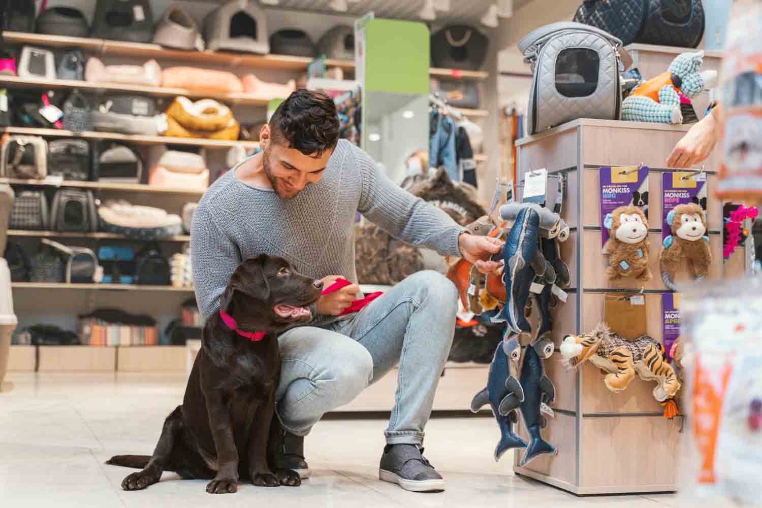 Entenda como está o mercado de pets atualmente e saiba quais são os segmentos que se destacam neste setor de negócios