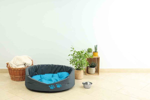 Para quem não sabe o que deve ter em um espaço pet, conheça os principais itens para deixar o cantinho seguro e confortável