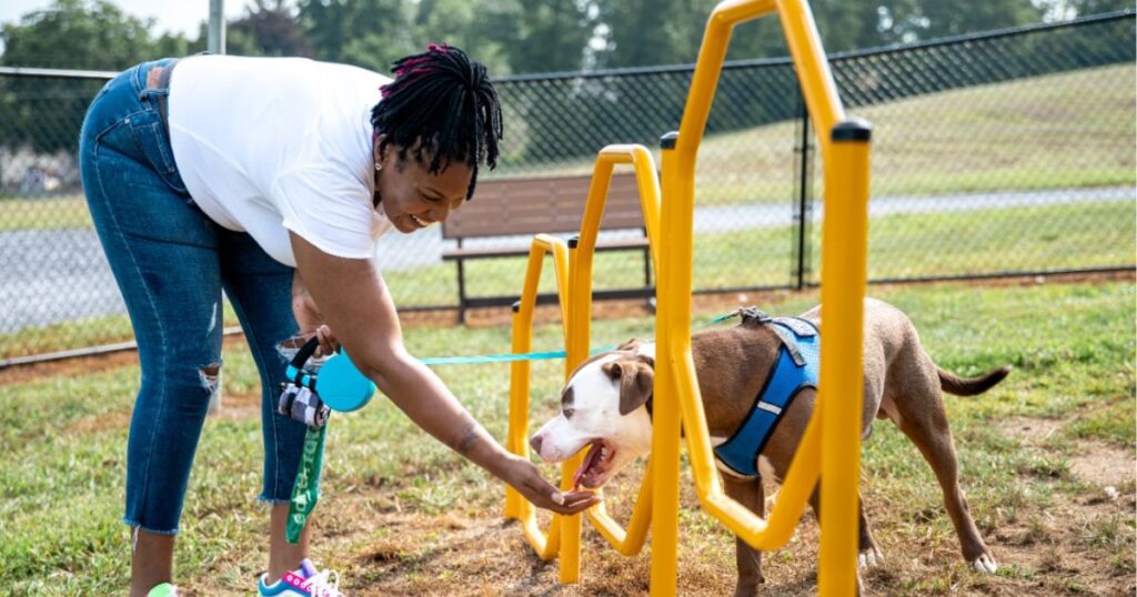 Equipamentos para Espaço Pet: Como Criar Áreas Seguras e Funcionais 4