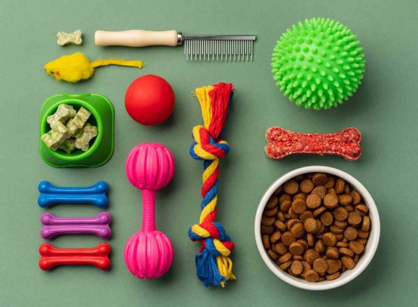 Como montar um espaço pet confortável e com brinquedos divertidos e estimulantes para pets no seu condomínio