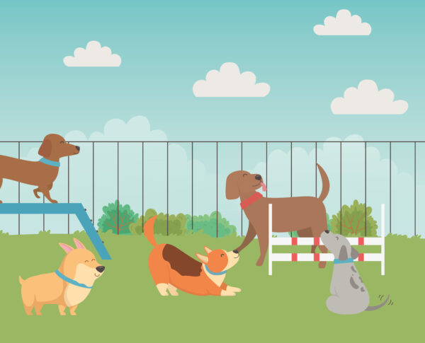 O que é um espaço pet friendly? Dicas para criar um ambiente acolhedor para os animais de estimação