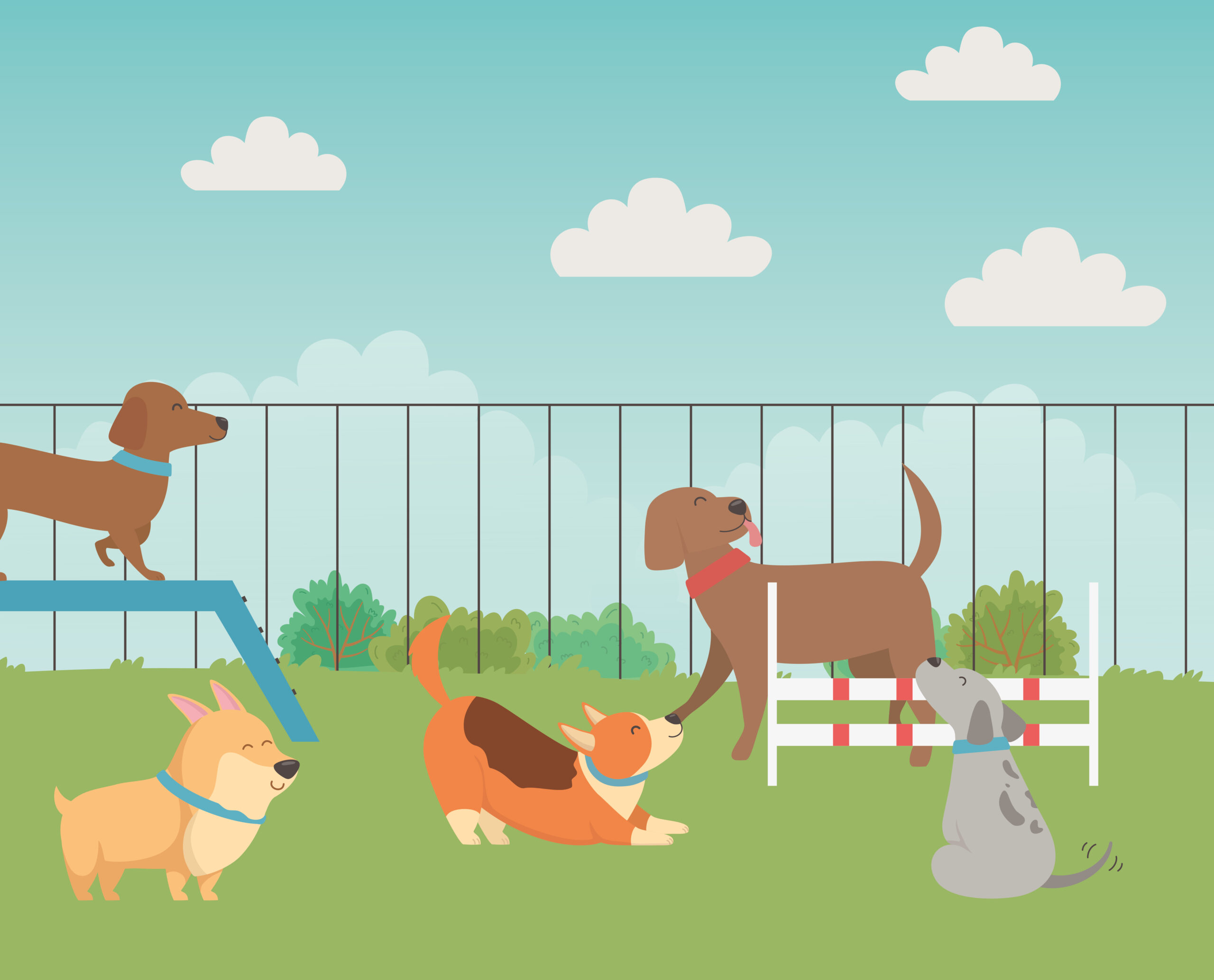 O que é um espaço pet friendly? Dicas para criar um ambiente acolhedor para os animais de estimação