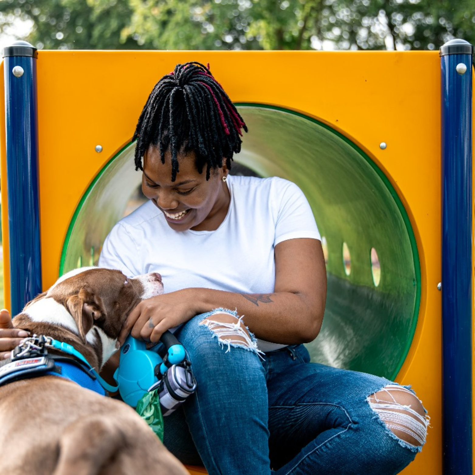 ESPAÇO_PET_GINAST_01