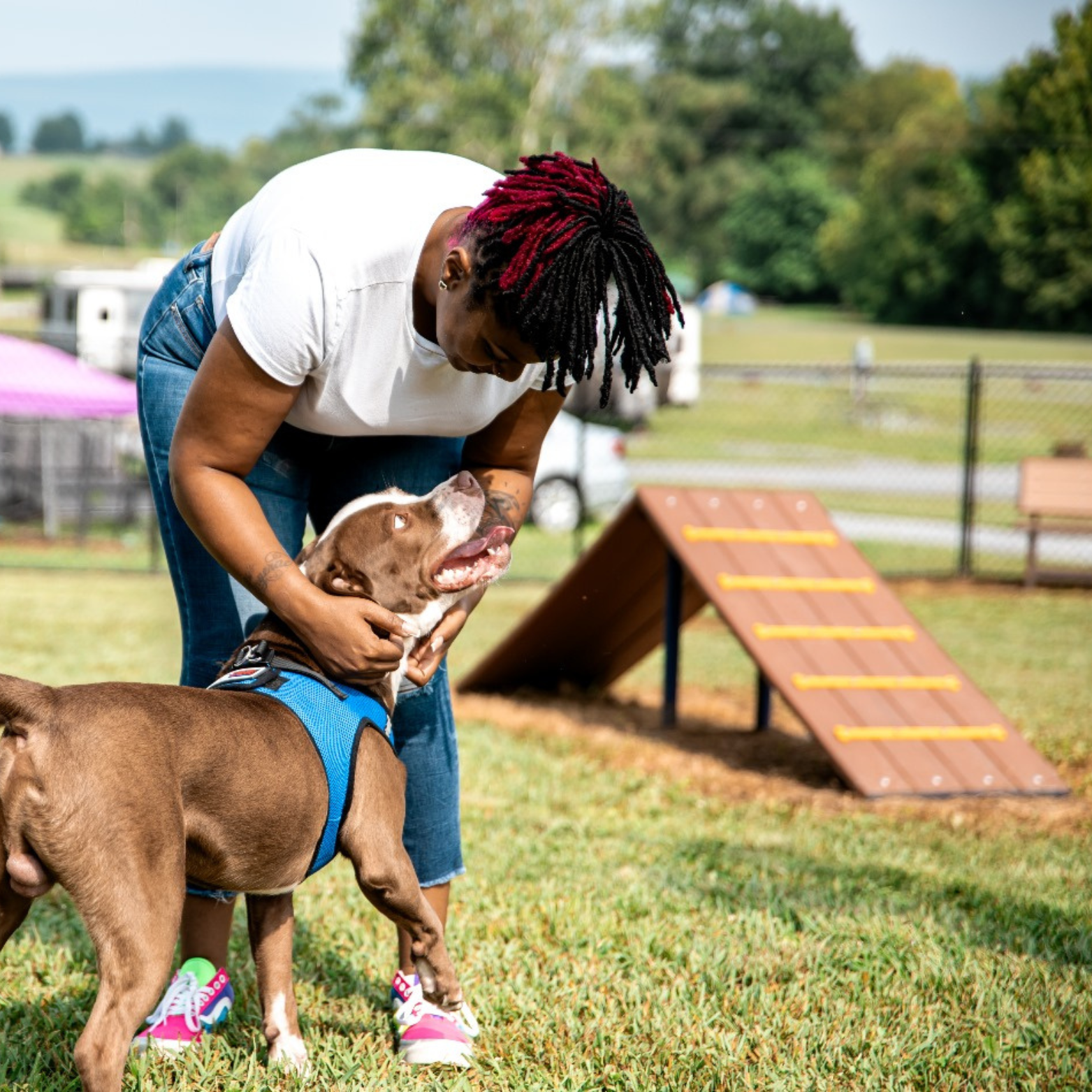 ESPAÇO_PET_GINAST_02