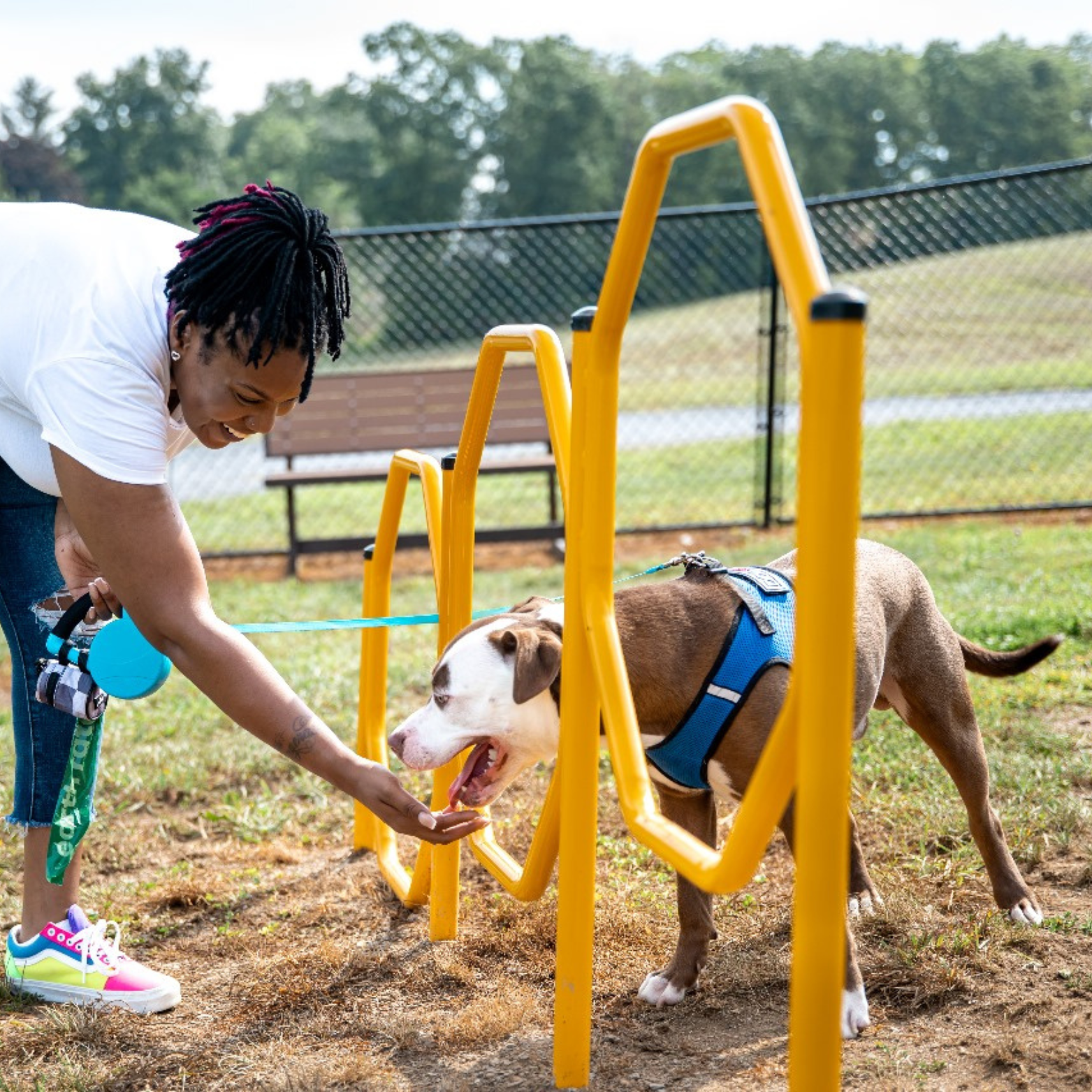 ESPAÇO_PET_GINAST_03