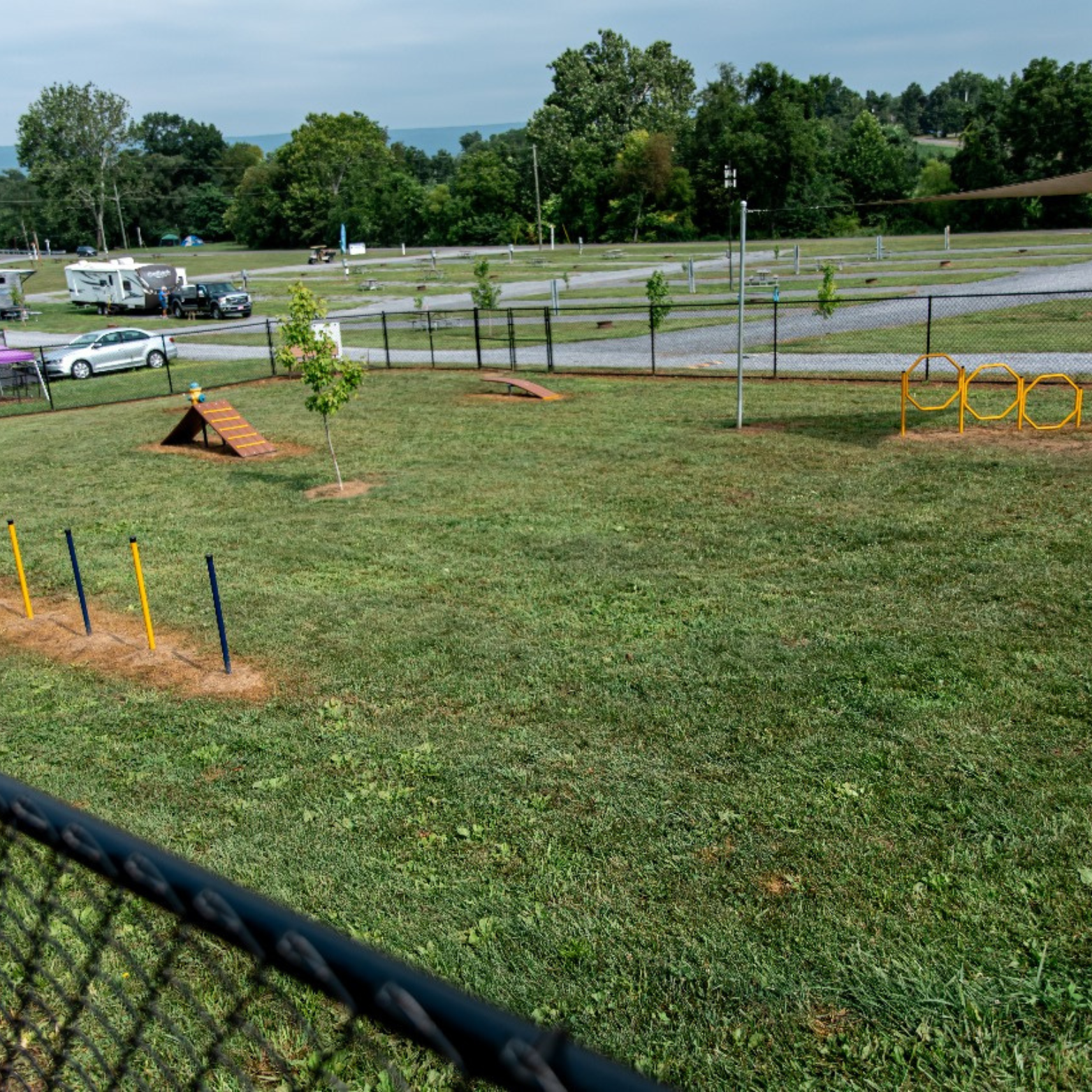 ESPAÇO_PET_GINAST_06