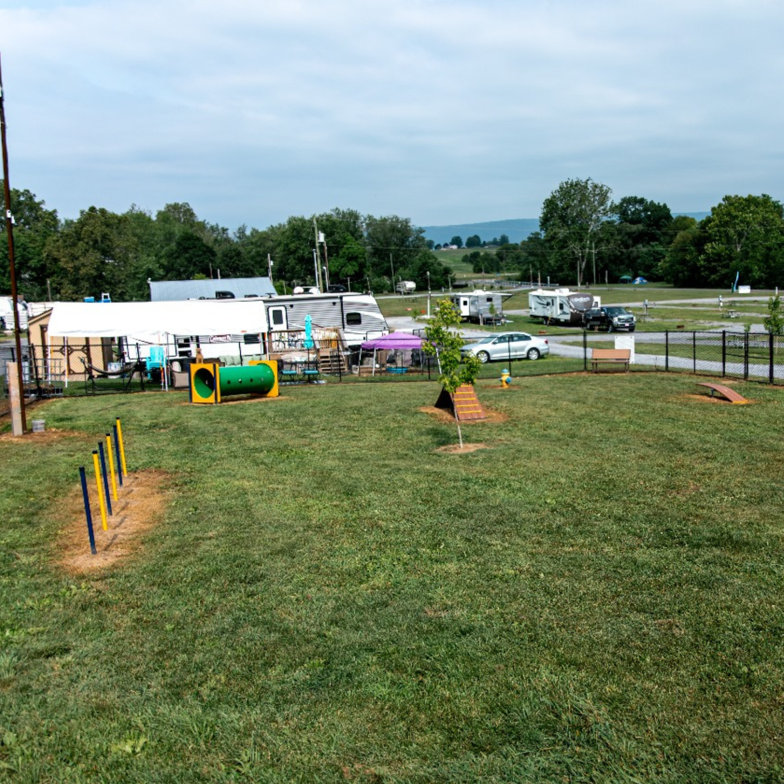 ESPAÇO_PET_GINAST_07